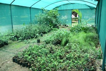 36. Nursery