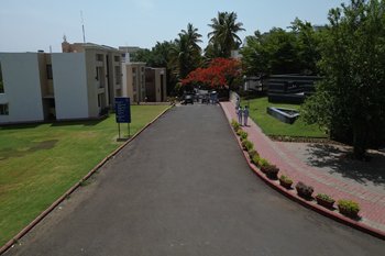 37. Pedestrian Friendly Pathways 2