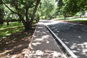 38. Pedestrian Friendly Pathways