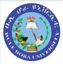 Bule Hora University, Ethiopia