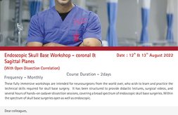 Endoscopic Skull Base Workshop - coronal & Sagittal Planes