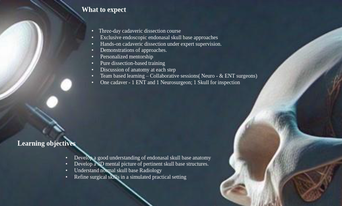 endoscopic endonasal skullbase workshop KVV 2025