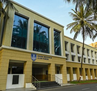 Allied Sciences